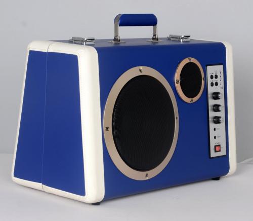 Bluetooth Speaker